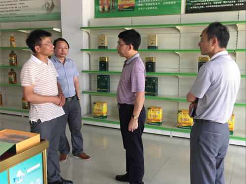 z6com�������ǲ�,�Ͳ���ֲ�����ӹ�����,ֲ������ֲ�����ӹ�����