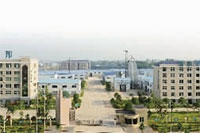 z6com�������ǲ�,�Ͳ���ֲ�����ӹ�����,ֲ������ֲ�����ӹ�����