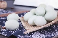 z6com�������ǲ�,�Ͳ���ֲ�����ӹ�����,ֲ������ֲ�����ӹ�����