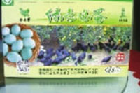 z6com�������ǲ�,�Ͳ���ֲ�����ӹ�����,ֲ������ֲ�����ӹ�����