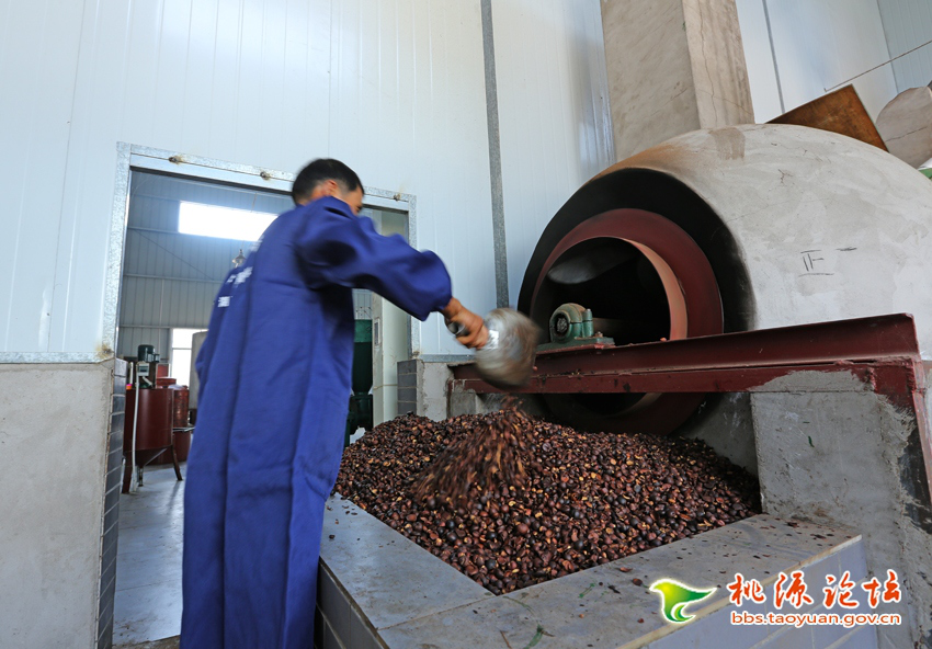 z6com�������ǲ�,�Ͳ���ֲ�����ӹ�����,ֲ������ֲ�����ӹ�����