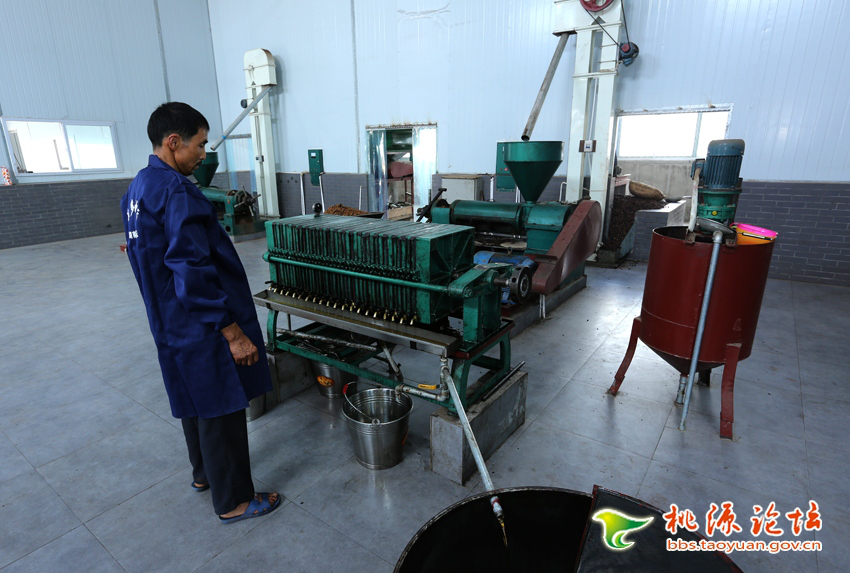 z6com�������ǲ�,�Ͳ���ֲ�����ӹ�����,ֲ������ֲ�����ӹ�����