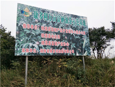 z6com�������ǲ�,�Ͳ���ֲ�����ӹ�����,ֲ������ֲ�����ӹ�����