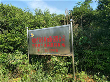 z6com�������ǲ�,�Ͳ���ֲ�����ӹ�����,ֲ������ֲ�����ӹ�����